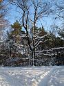 2010-12-18, Prießnitz (12)
